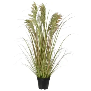 Trawa-Pampasowa-90-cm.webp Trawa Pampasowa 90 cm