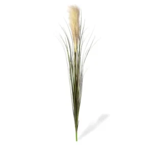 Trawa Pampasowa na Piku 95 cm