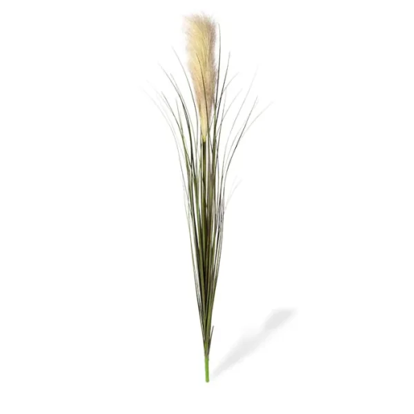 Trawa Pampasowa na Piku 95 cm