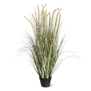 Trawa-Pennisetum-105-cm.webp Trawa Pennisetum 105 cm