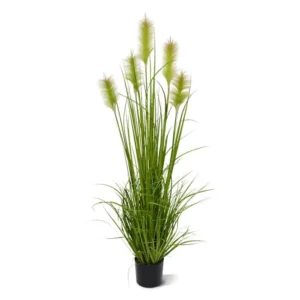 Trawa-Trzcinowa-150-cm.webp Trawa Trzcinowa 150 cm