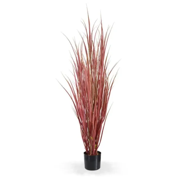 Trawa Trzcinowa Luksusowa Bordowa 130 cm