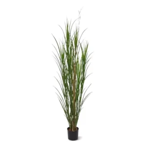 Trawa Trzcinowa Luksusowa UV 165 cm