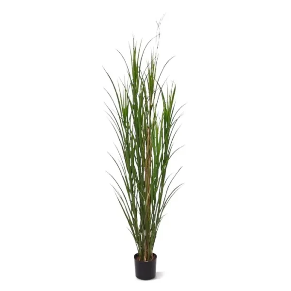 Trawa Trzcinowa Luksusowa UV 165 cm