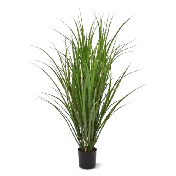 Trawa Trzcinowa Życica UV 100 cm