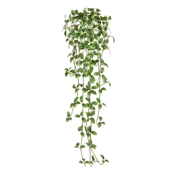 Trzykrotka Biało - Zielona 90 cm