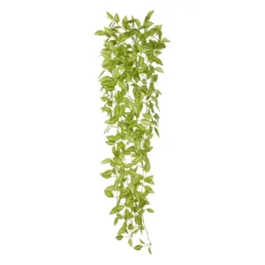Trzykrotka Jasnozielona 90 cm
