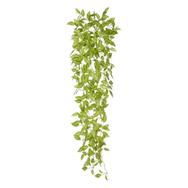 Trzykrotka Jasnozielona 90 cm
