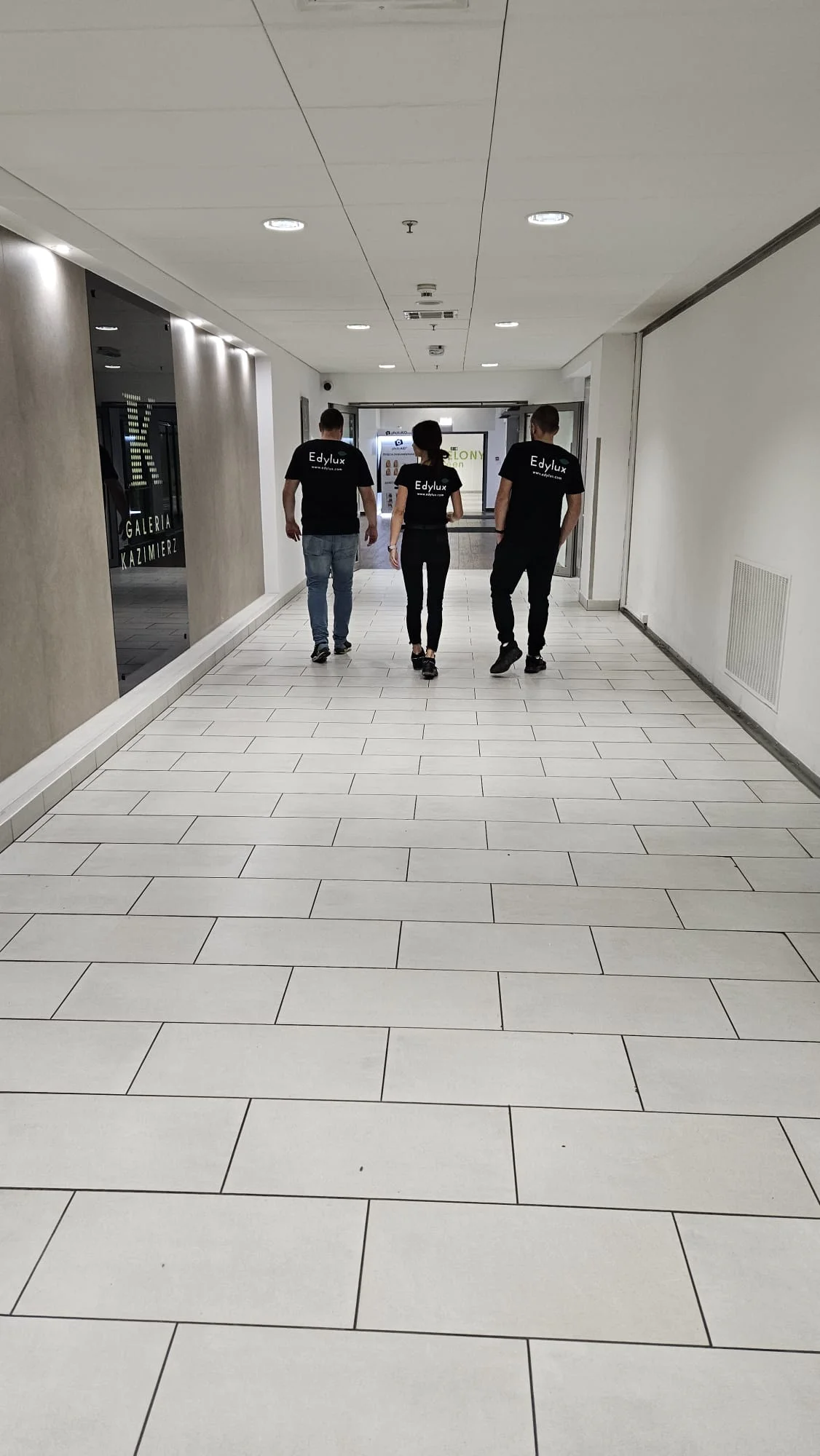 Realizacja Edylux – sztuczna zieleń premium i aranżacja roślinna nr 29