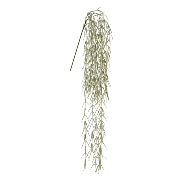 Wierzba Płacząca Szara 85 cm