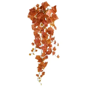 Winobluszcz Jesienny 95 cm