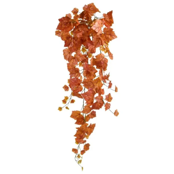 Winobluszcz Jesienny 95 cm