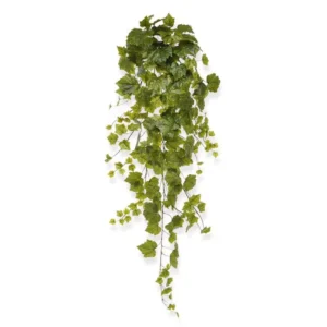 Winobluszcz Zielony 130 cm