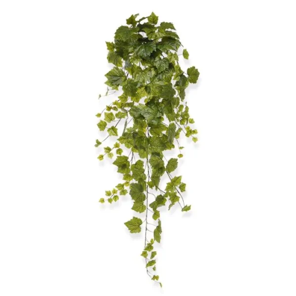 Winobluszcz Zielony 130 cm
