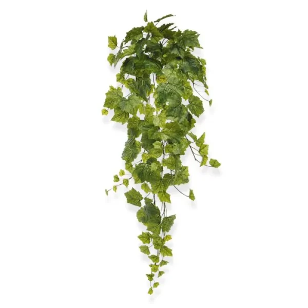 Winobluszcz Zielony 90 cm