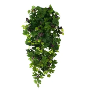Winobluszcz-z-Owocami-90-cm.webp Winobluszcz z Owocami 90 cm