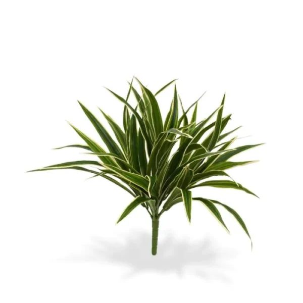 Zielistka na Piku 30 cm