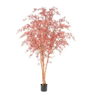 Aralia Czerwona UV 280 cm