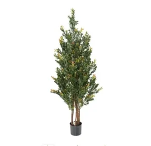 Bukszpan Kolorowy UV 130 cm