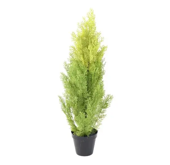 Cyprys Cytrynowy UV 90 cm