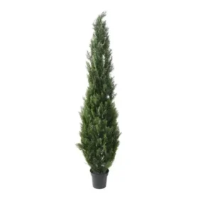 cyprys-zielony-uv-210-cm.webp Cyprys Zielony UV 210 cm