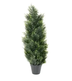 cyprys-zielony-uv-90-cm.webp Cyprys Zielony UV 90 cm
