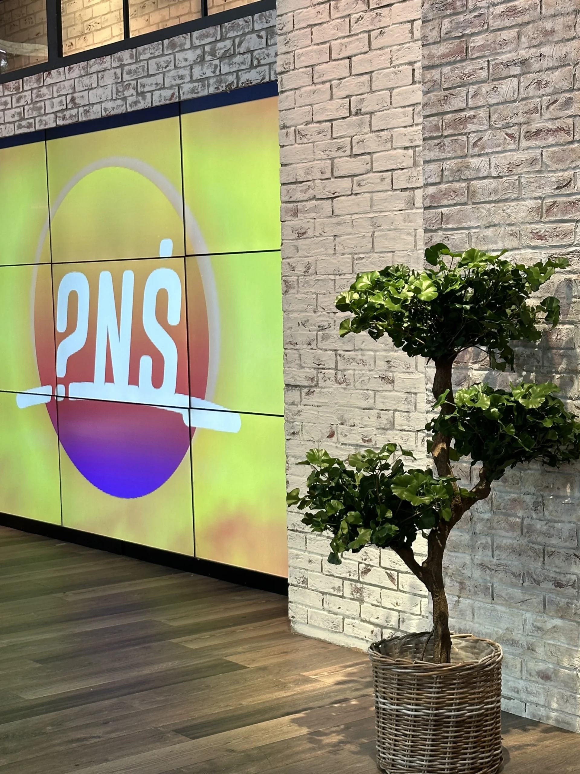 Realizacja Edylux – sztuczna zieleń premium i aranżacja roślinna nr 60