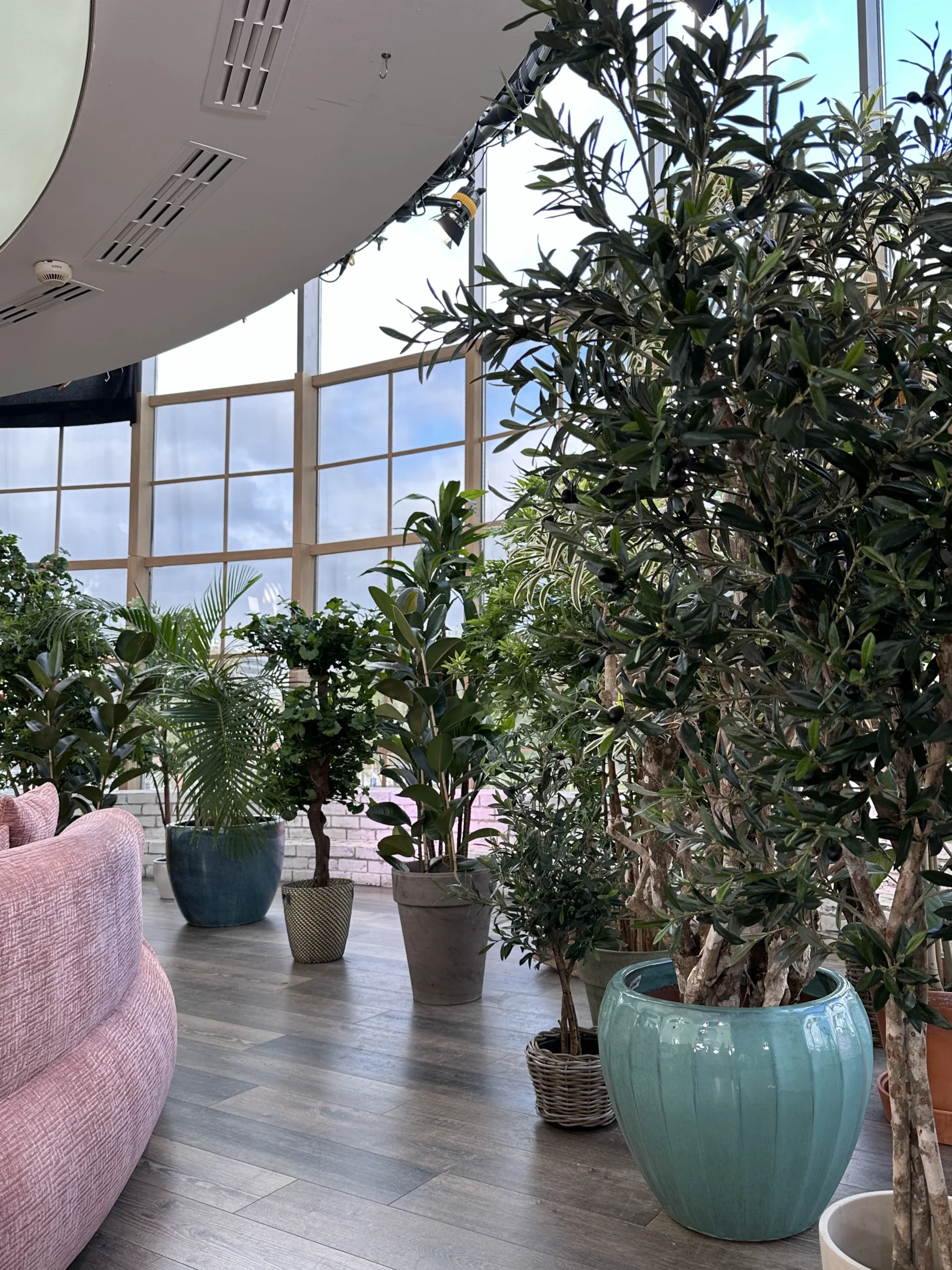 Realizacja Edylux – sztuczna zieleń premium i aranżacja roślinna nr 57