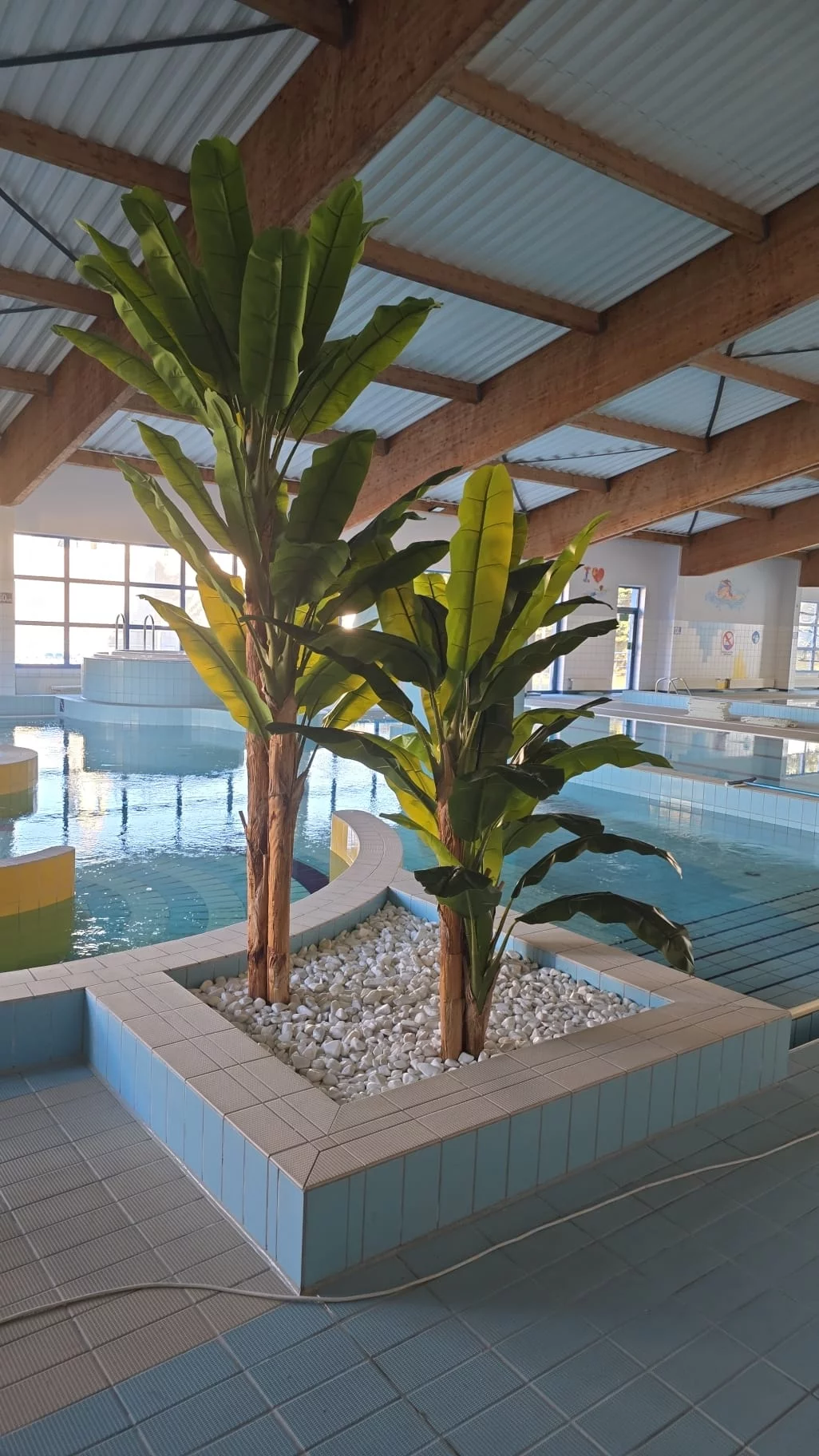 Realizacja Edylux – sztuczna zieleń premium i aranżacja roślinna nr 5
