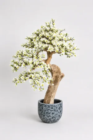 magnolia2 Drzewo magnolii z białymi kwiatami na naturalnym egzotycznym pniu